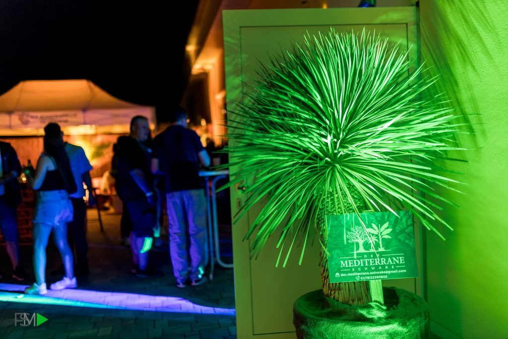2026-08-01_Beachparty_HighRes-19
